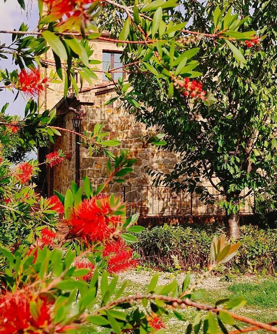 Passiontoscane San Giovanni d'Asso