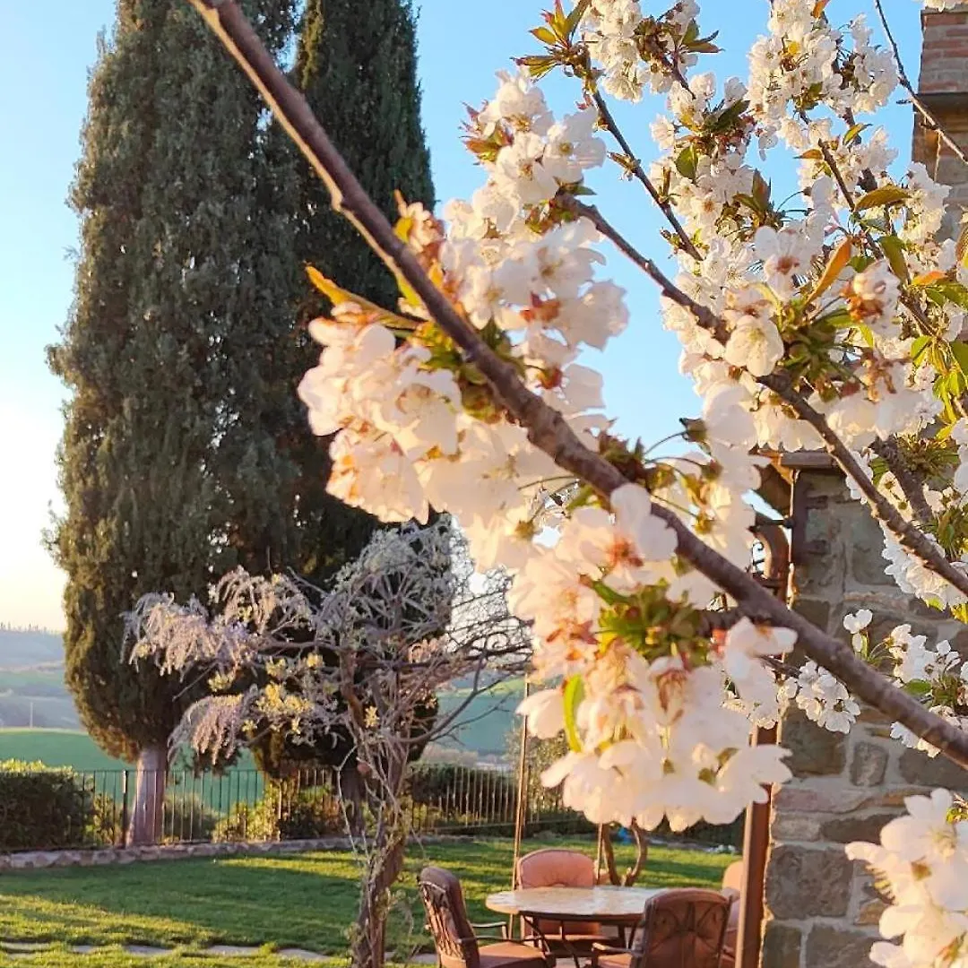 Passiontoscane contacts